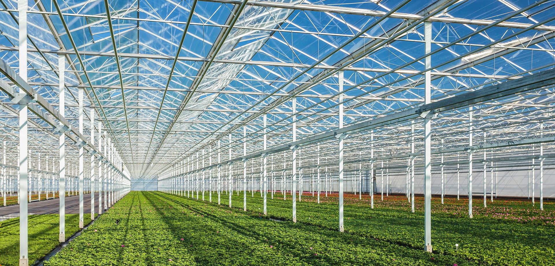 Landbouw industrie