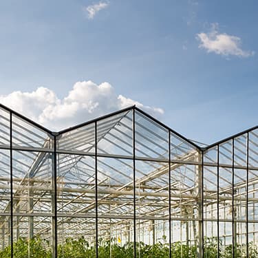 Klimaatbeheersing kassenbouw